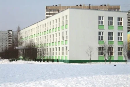 Видновская гимназия фото 7