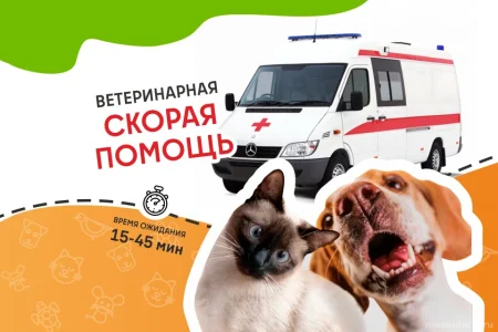 Ветеринарная служба ВетСкорая24 на Советской улице фото 6