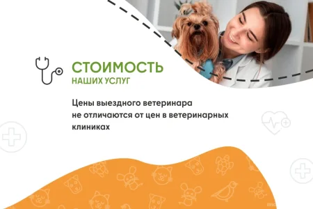Ветеринарная служба ВетСкорая24 на Советской улице фото 3