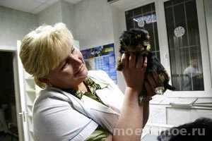Ветеринарная клиника Берег на проспекте Ленинского Комсомола фото 2