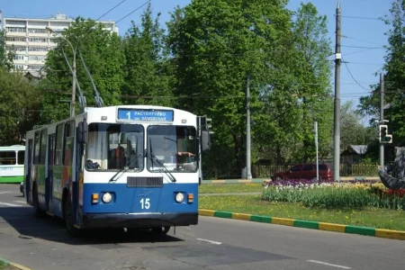 Видновский троллейбусный парк фото 7